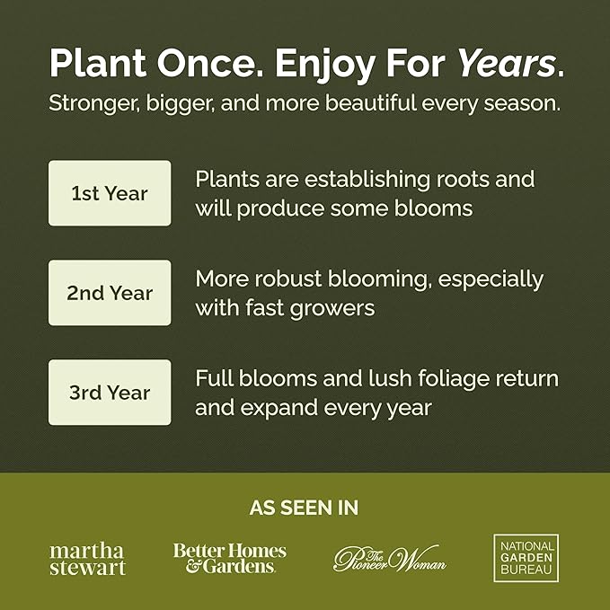 Eden Brothers All Perennial Wildflower Mixed Seeds for Planting, 25 lb, 12,000,000+ Seeds with Lupine, Shasta Daisy | Attracts Pollinators, Plant in Spring or Fall, Zones 3, 4, 5, 6, 7, 8, 9, 10