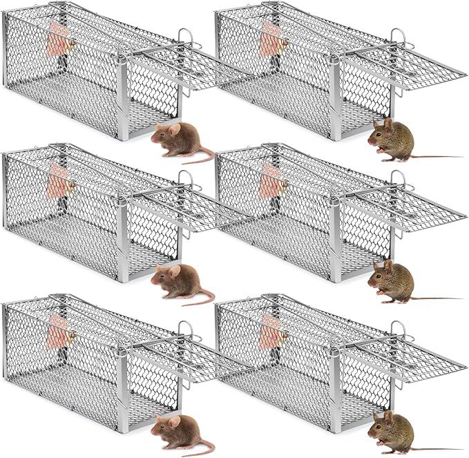 Qualirey 6 Pcs Humane Rat Trap Small Chipmunk Mouse Squirrel Cage Rodent Animal Voles Hamsters Cage Catch and Release Trap for Home Garden Indoor Outdoor (Silver,10.6 x 5 x 5 Inch)