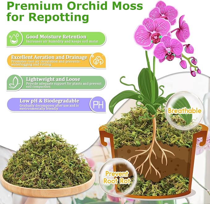 Legigo 3.5OZ Premium Forest Moss for Plants, 4QT Natural Green Sphagnum Moss for Potted Plants, Dried Orchid Moss Potting Mix, Soft Real Moss Decorative for Houseplants Orchids Succulents Reptiles
