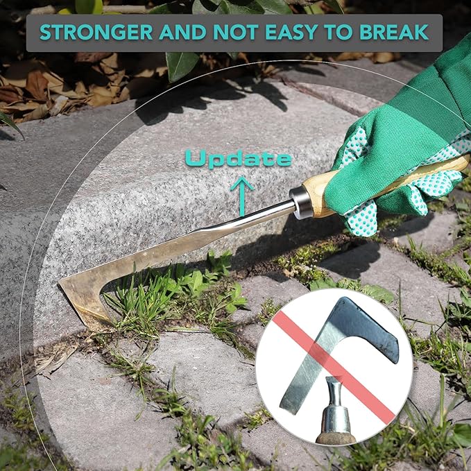 Extendable Weed Brush Telescopic Gardening Tool with Angled Wire Bristles, Spare Heads, and Weeder Scraper for Clearing Weeds, Moss, and Algae from Patios, Driveways, and Block Paving