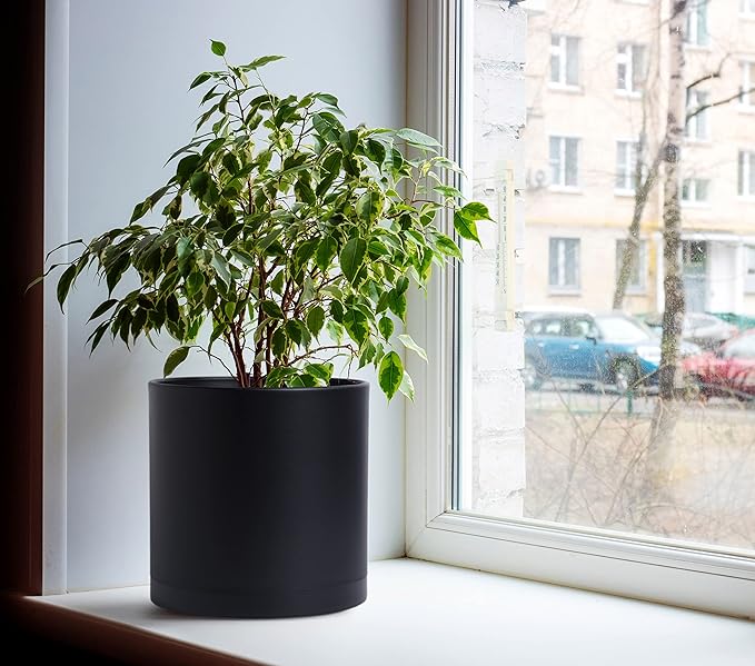 D'vine Dev 10 Inch 12 Inch 14 Inch, Set of 3 Plastic Planter Pots for Plants with Drainage Hole and Seamless Saucers, Black Color, XX-Large, 74-V-B-6