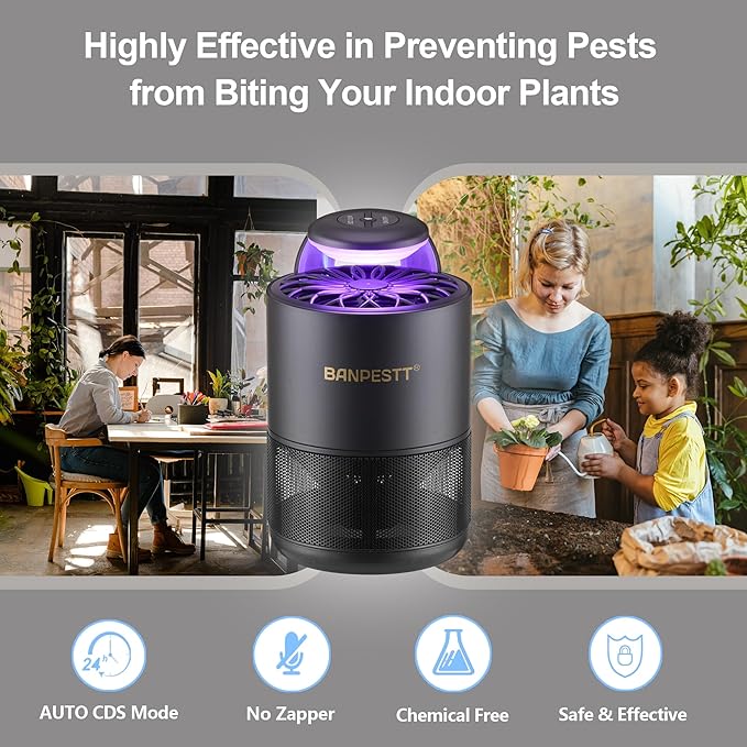 BANPESTT Indoor Insect Trap-Catcher & Killer with Suction for Mosquitos, Gnats, Moths, Fruit Flies, Dusk-to-Dawn Sensor, Bug Light & 6 Sticky Glue Boards (Black)