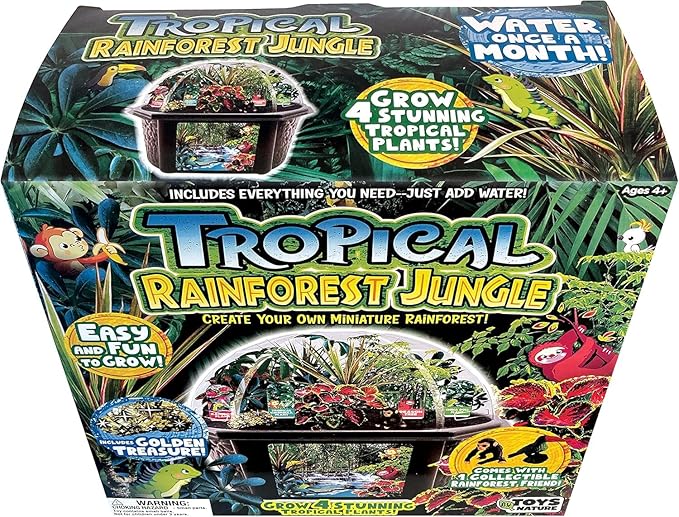 Toys by Biosphere Terrarium Starter Kit with Complete Supplies to Create Your Own Jungle! Indoor Plants for Home Displays and Gardens (Tropical Rainforest Jungle)