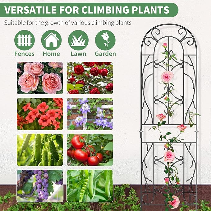 SUNYRISY 4Pack Metal Garden Trellis for Climbing Plants Outdoor, Metal Plant Trellis for Flowers Tomato Cucumber Rose Vegetable Support Garden Decoration, Black