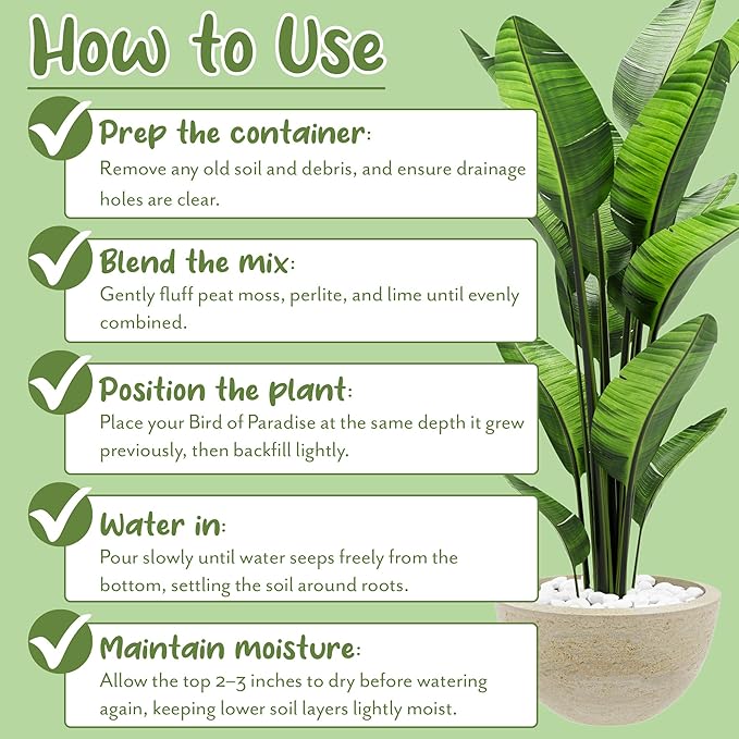 Bird of Paradise Potting Soil Mix (8 Quarts), All Natural Mix for Indoor/Outdoor Container Tropical Plants