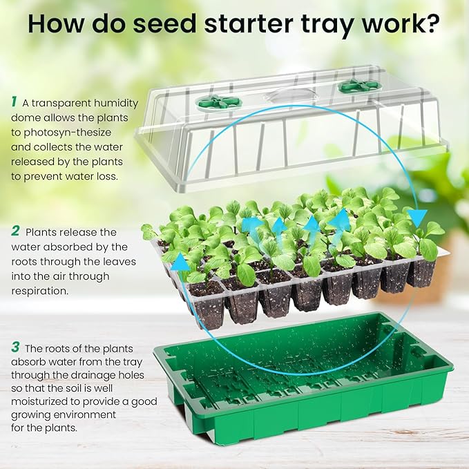 MIXC Seed Starter Tray with Lights, 2 Packs Mini Propagator Plant Grow Kit Greenhouse with Humidity Vented Domes and Base for Seeds Starting, Green