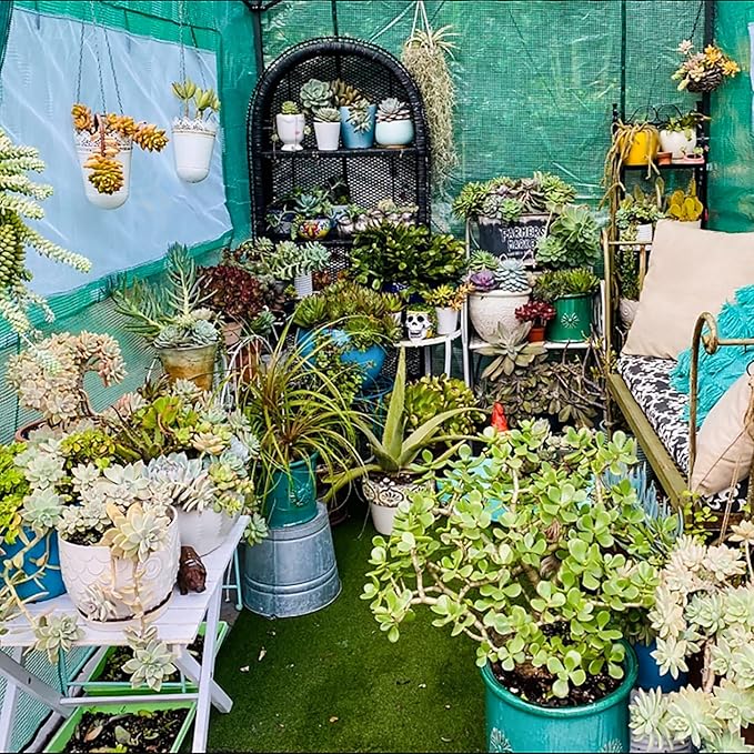 EAGLE PEAK Replacement Cover for 8x6 Portable Walk-in Pop up Greenhouse, Front and Rear Roll-Up Zipper Entry Doors and 2 Large Roll-Up Side Windows (Frame Not Included), Green