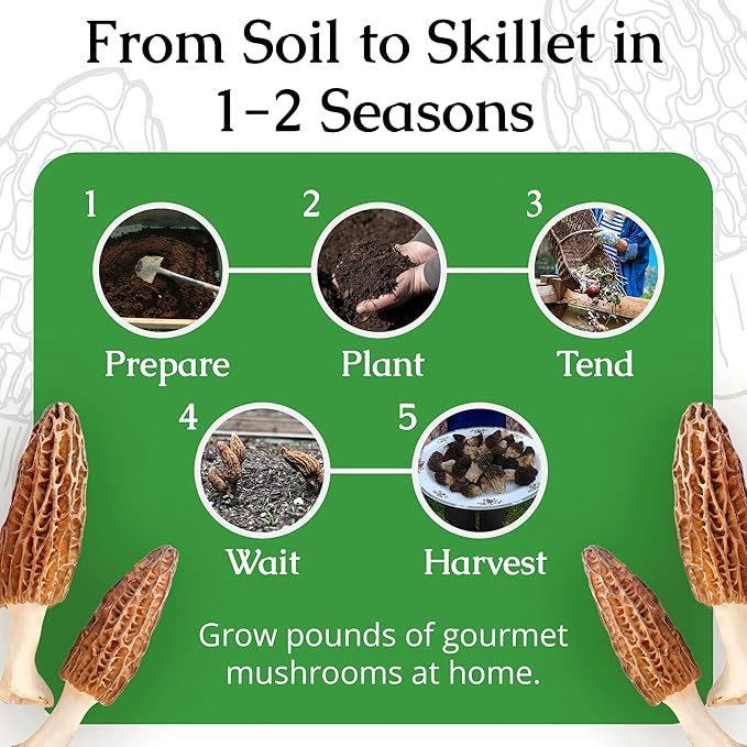 MOREL HABITAT KIT® Morel Mushroom Growing Kit (Morchella esculenta), Compatible with Any Soil Type Across The U.S., Outdoor Garden & Backyard Cultivation Set with Full Instructions - Made in The USA