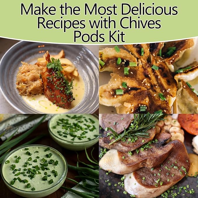 Chives Seed Pods for All Hydroponics Growing Systems, 12 Pods Herb Kit with 200+ Seeds of Chives, Grow Your Own Herb Garden at Home