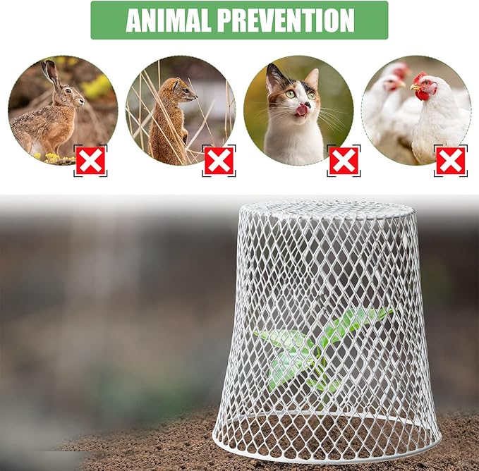 10 Pcs 8inch Chicken Wire Plant Covers Wire Garden Cloches Chicken Wire Cloche Plant Protector Metal Heavy Duty Garden Plant Cloche for Keeping Bunnies Chicken Squirrels Birds Other Out