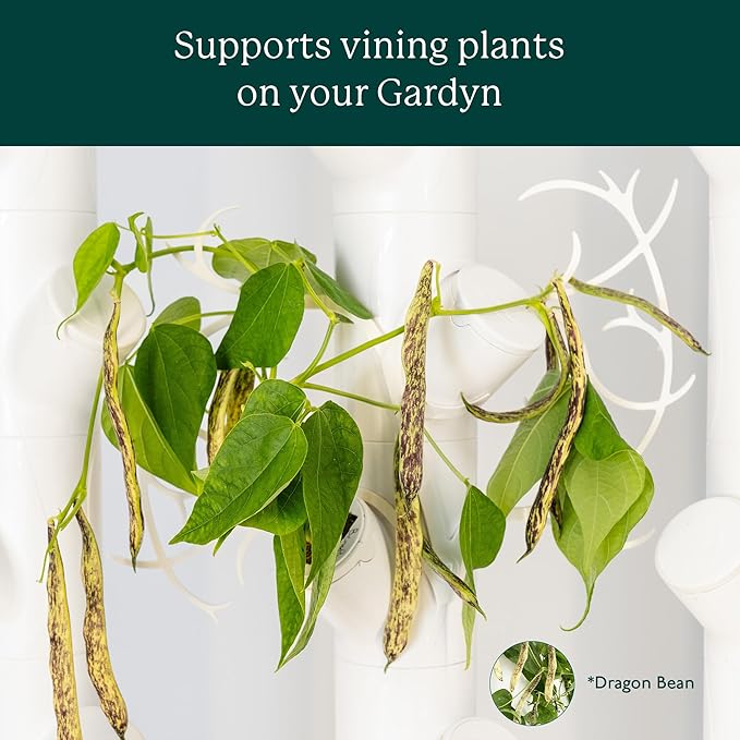 Gardyn Trellis Hydroponics Growing System Accessory That Supports Vining Indoor Plants – 10 Pack (for use with All Gardyn Vertical Indoor Garden Hydroponics Growing Systems and Tower Gardens)