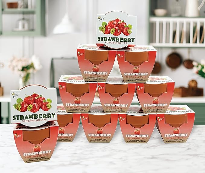 BUZZY Seeds Terracotta Mini Grow Pots | Herb, Plant, Flower Starter Kit for Kids & Adults | Alpine Strawberry 12-Pack, Classic Collection | Guaranteed to Grow | Best Indoor-Outdoor Gardening Gift