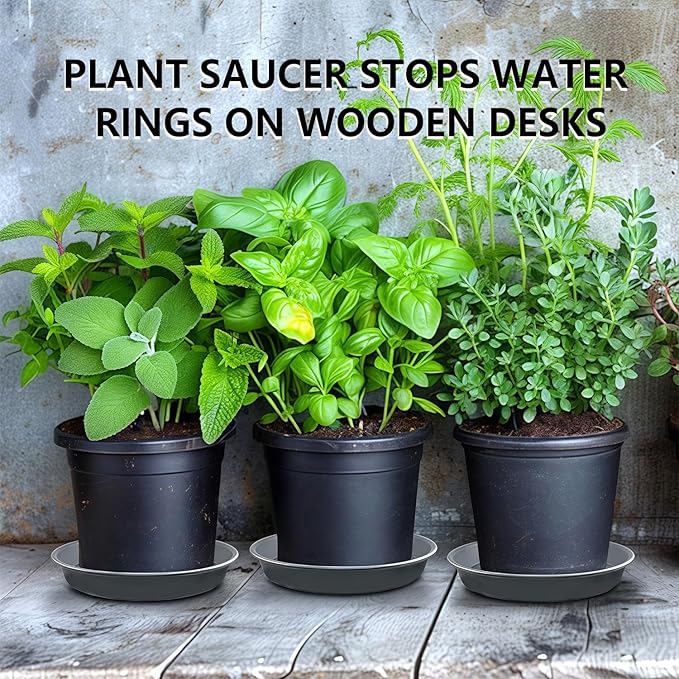 6 Pack 8-Inch Gray Plant Saucer Trays, Durable PP Plastic Pot Bases for Small Medium Planters, Modern Round Flower Pot Water Catcher Plates & Drip Trays for Indoor Plant Care