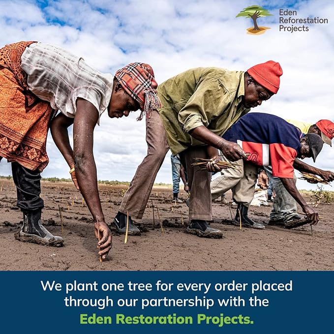 EVERSPROUT 4.5-to-12ft Durable Fruit Picker with 20+ Foot Reach – Telescoping Fruit Picker Pole, Lightweight Twist-On Fruit Picking Tool with Basket, Aluminium Extension Pole for Tree Fruit Harvesting