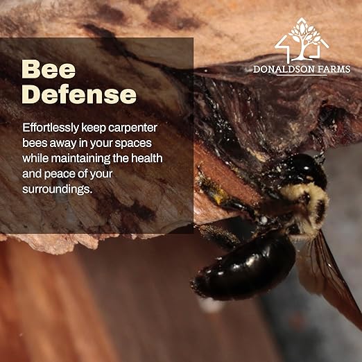 All-Natural Foaming Spray - Carpenter Insect Bee Killer - Reliable Defense for All Kinds of Insects, 16 oz