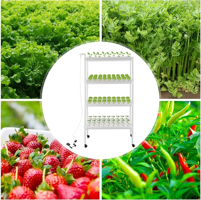 Hydroponics Growing System with Water Pump and Timing, 4 Layers Hydroponic Vegetable Growing Kit 108 Sites Food-Grade PVC-U Pipes for Fruits, Vegetables, Herbs