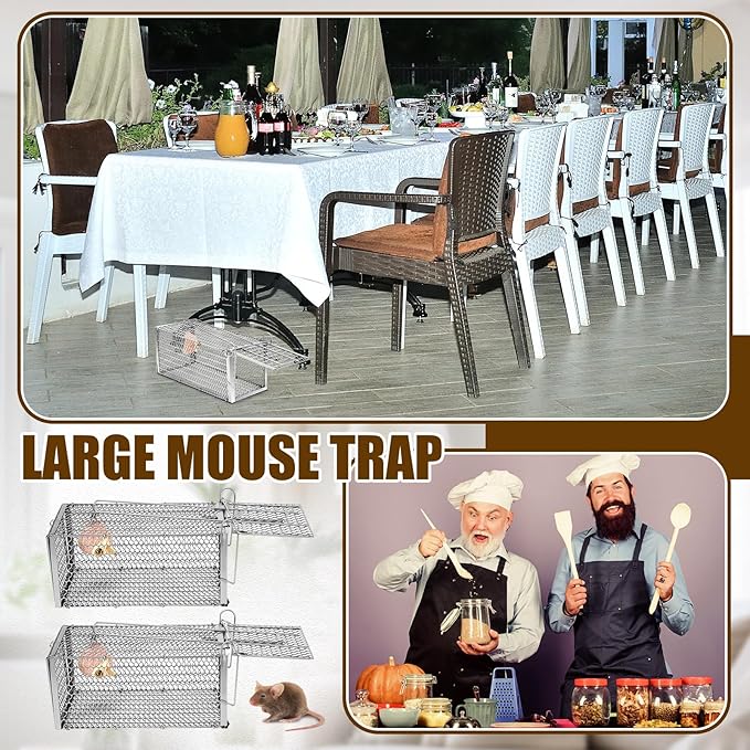 Qualirey 6 Pcs Humane Rat Trap Small Chipmunk Mouse Squirrel Cage Rodent Animal Voles Hamsters Cage Catch and Release Trap for Home Garden Indoor Outdoor (Silver,10.6 x 5 x 5 Inch)