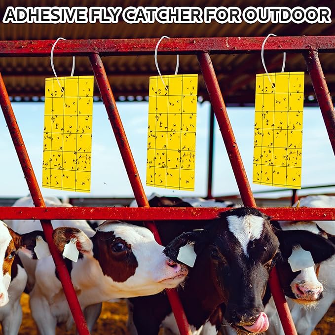 Qualirey 150 Pcs Yellow Sticky Trap for Gnats 3 x 5'' Dual Side Sticky Fruit Fly Trap with Tie Plant Sticky Trap for Flying Insect Fungus Bugs Flying Sticky Trap Sticky for Indoor Outdoor