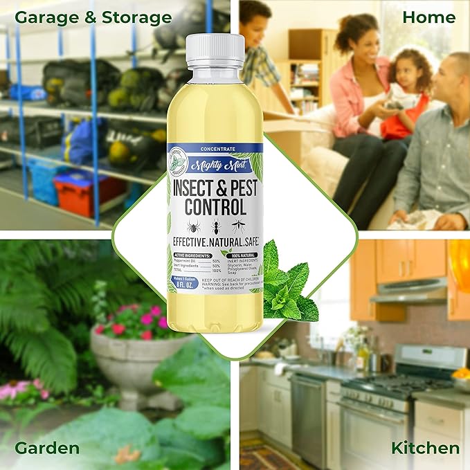 Mighty Mint Peppermint Oil Insect Repellent Concentrate– Natural Indoor & Outdoor Bug Control for Spiders, Ants, Roaches, and More – Plant-Based, Extra-Strong Formula - 8 oz