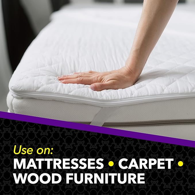 Raid Max Bed Bug Crack & Crevice Extended Protection Foaming Spray, Kills Bed Bugs for up to 8 weeks on Laminated Woods and Surfaces, 17.5 oz