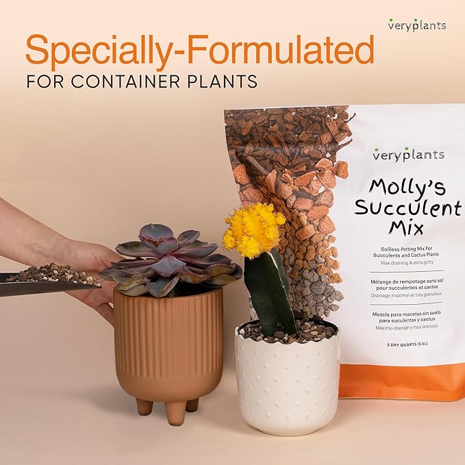 Molly's Succulent Mix - Premium Gritty Soilless Potting Mix for Succulents, Cactus and Bonsai - Contains Akadama, Hyuga, Bark Fines, Pumice, Lava Rock, Mycorrhizae 5.5 Liters