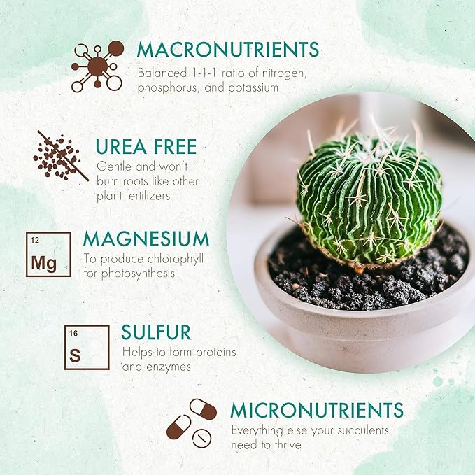 Succulents & Cactus Plant Food - Gentle Long Lasting Formula, Slow Release Fertilizer (Liquid Alternative) for All Potted Succulent, Cacti & Aloe Vera Plants (5 oz)