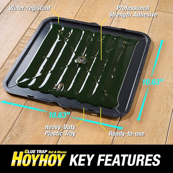HOY HOY Jumbo Size Rat & Mouse Indoor/Outdoor Glue Trap 2 Large Traps [1 Pack] - Heavy-Duty Professional Strength Ready-to-Use Pest Control, Kids & Pets Friendly Household Pests & Insects