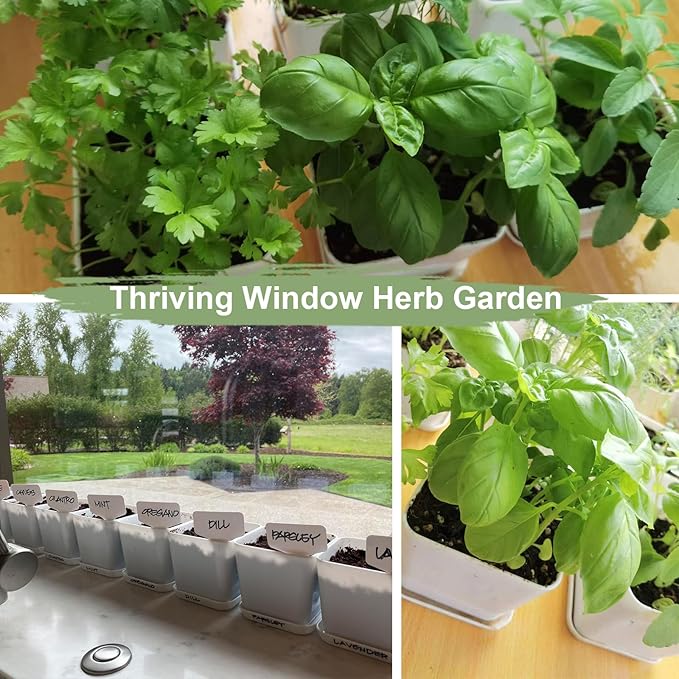 Herb Garden Kit Indoor Herb Garden Starter Kit - 10 Kitchen Herbs Seeds Growing Kit Window Herb Garden Planter Indoor Kit for Windowsill Countertop - Unique Gardening Gift for Women Men