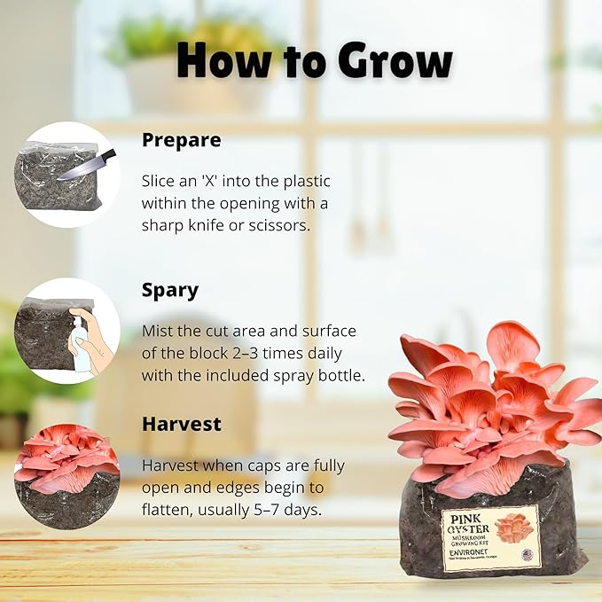 Pink Oyster Mushroom Growing Kit, Starter-Friendly & Fast Harvest Mushrooms Growing Kit, Handmade in USA, Great Gift