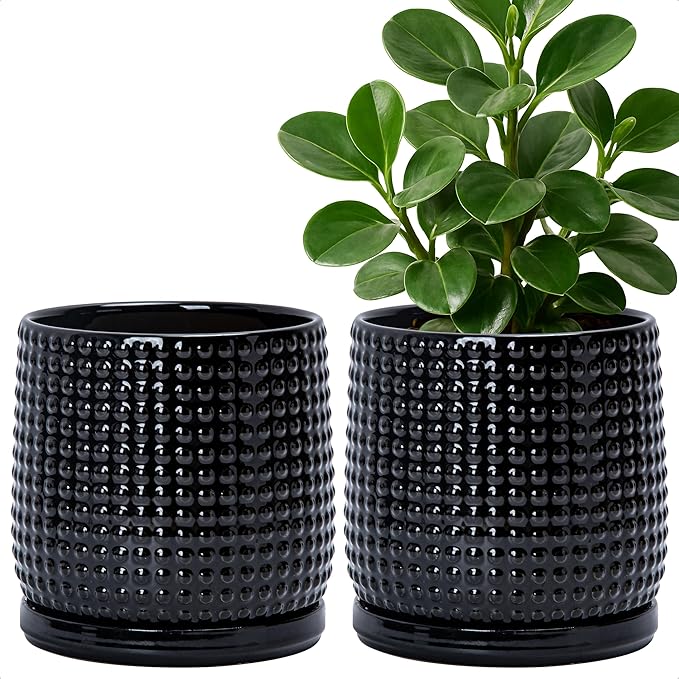 D'vine Dev Set of 2 Ceramic Plants Pots, 6 Inch Beaded Stoneware Flower Pot for Plants with Drainage Hole and Saucer, Glossy Black, 27-E-X-2