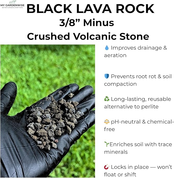 Lava Rocks for Plants (3/8’’ Minus), Natural Black Lava Rocks, Succulent & Terrarium Horticultural Volcanic Rock, Ideal Drainage for Potted Plants, Made in USA (3 qts - 4.8 lbs)
