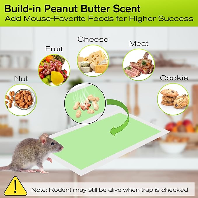 Qualirey 10 Pack Large Sticky Mouse Traps, 11 x 5.3 Inch Non-Toxic Bulk Mice Glue Trap, Rat Glue Boards Indoor Pest Control for Rodent and Insects, Snakes, Cockroaches, Spiders, and Scorpions