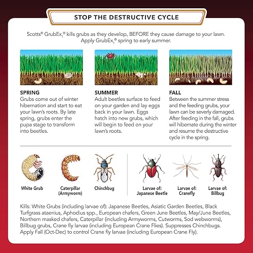 Scotts GrubEx1 Season Long Grub Killer - Kills and Prevents for Up to 4 Months, Treats 10,000 sq. ft. (2-Pack)