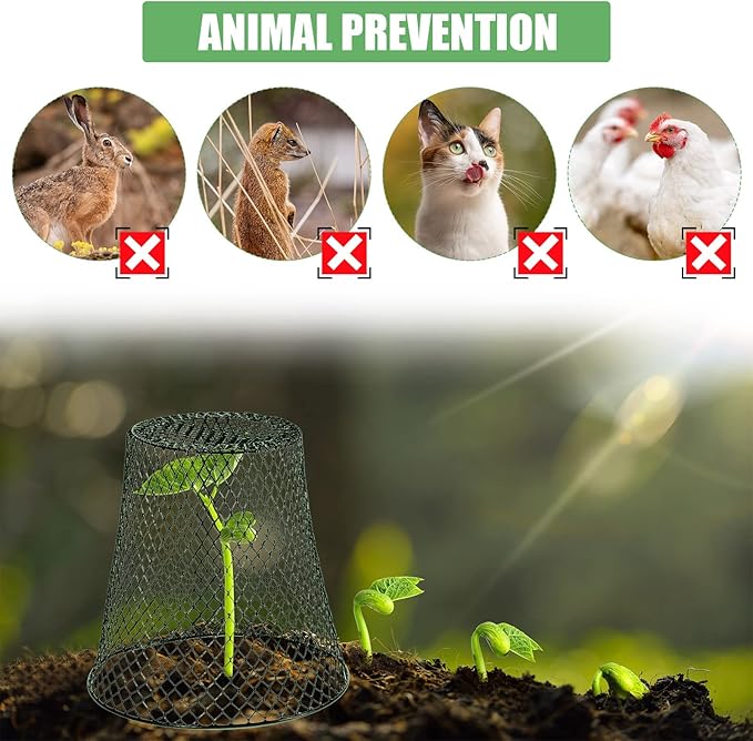 20 Pcs 9×9inch Chicken Wire Plant Covers Wire Garden Cloches Chicken Wire Cloche Plant Protector Metal Heavy Duty Garden Plant Cloche for Keeping Bunnies Chicken Squirrels Birds Other Out