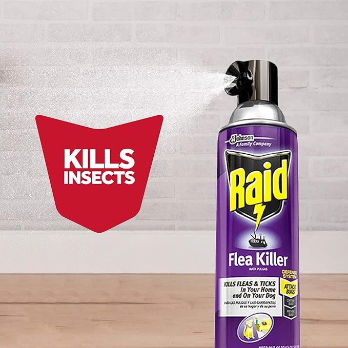 Raid Flea Killer, Kills Fleas, Crickets, Roaches, Silverfish and Ticks, Use in Your Home or on Your Dog (1 Pound (Pack of 6))