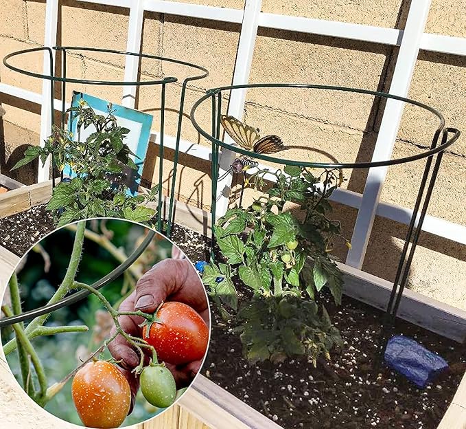 TCBWFY 10 Pack Plant Support Stakes for Peony,10" Widex16 High Heavy Duty Peony Cages and Support,Metal Peony Supports for Outdoor Indoor Plants,Plant Supports for Peony,Tomatoes,Hydrangea,Rose