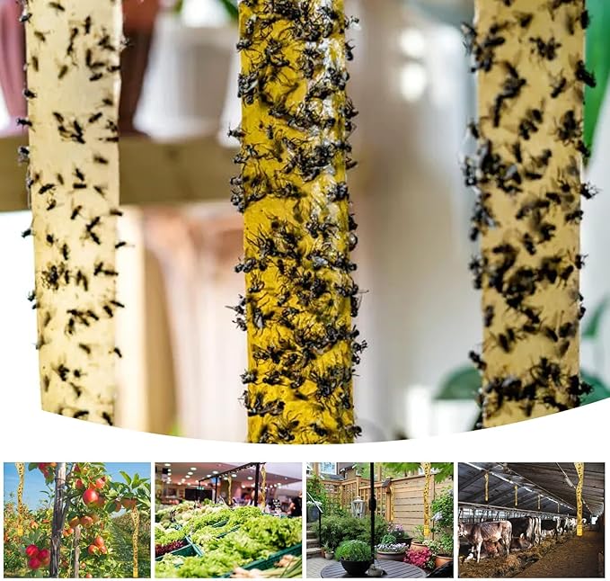 Glovv 24 Pack Sticky Fly Trap Indoor, Flies Strips Indoor Outdoor Hanging Paper Rolls for Home, Bug & Fruit Gnat Ribbons Tape Killer Catcher for Kitchen, Flying Insect Trap for Winged Insect, Mosquito