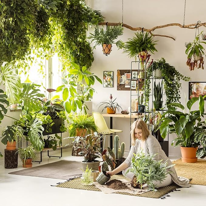 Briignite Grow Light Bulbs, 4 Full Spectrum Growth Modes, 3/9/12/18H Timing, A19 Dimmable Plant Light Bulb E26 Base, 11W Grow Bulb 100W Equivalent, Grow Light for Indoor Plants, Seed Starting, 2Pack