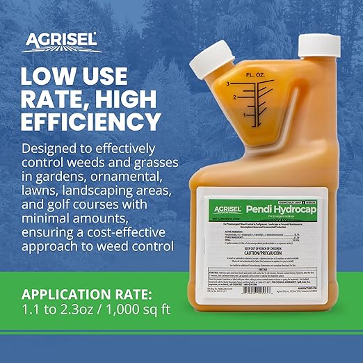 Pendi Hydrocap Weed Killer, Pre-Emergent Formula, Effective on 40+ Broadleaf Weeds and Grasses, No-Stain, Mixes Easily, Pet Safe, Includes 3-Pack of Agrisel Protective Gloves, 16 Ounces