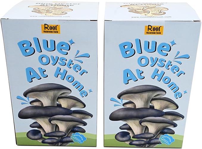 Two Mushroom Grow Kits, 3Lb Each (Two Blue Oyster Kits)