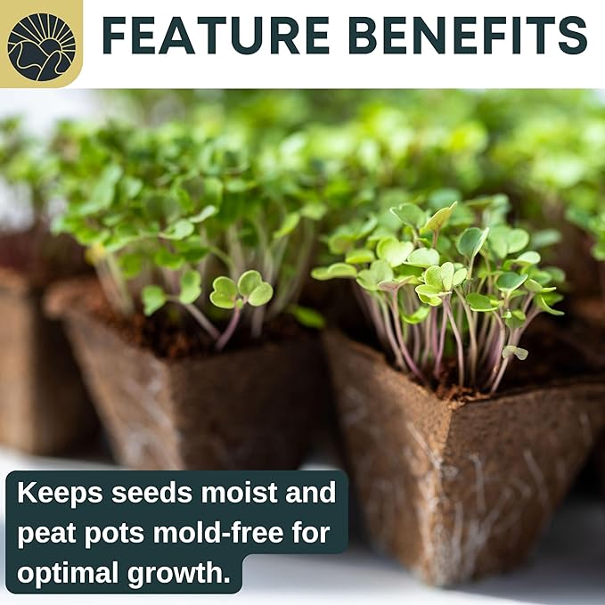 Seed Starter Peat Pots for Seedlings 300 pcs Biodegradable Seed Starter Pots