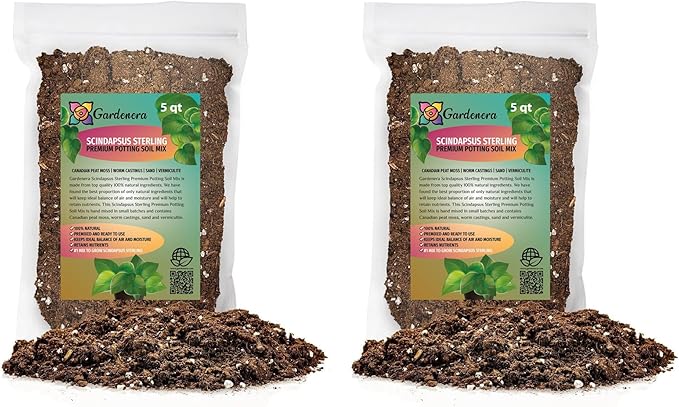 Scindapsus Sterling Plant Potting Soil - All-Natural Blend for Thriving Scindapsus Sterling Plants - Boosts Root Health and Striking Foliage - 10 Quart