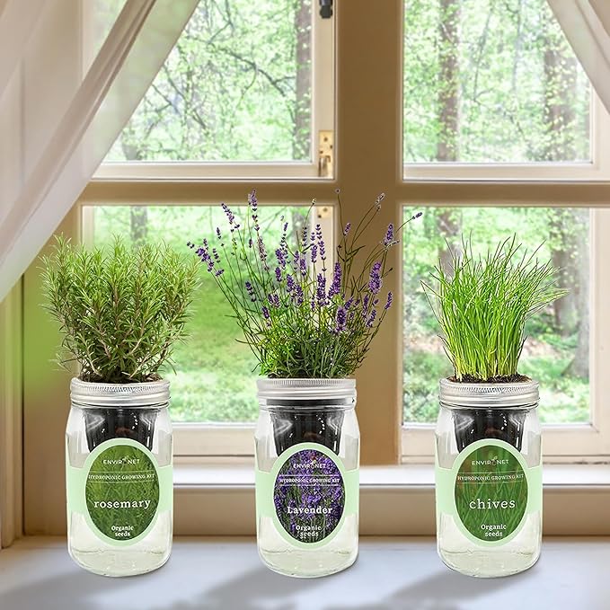 Hydroponic Herb Growing Kit Set, Self-Watering Mason Jar Herb Garden Starter Kit Indoor, Grow Your Own Herbs from Seeds (Lavender, Rosemary & Chives)