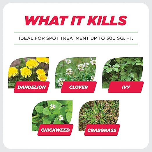 Earth's Ally Weed and Grass Killer Concentrate 20 oz | Safe, Pet-Friendly Natural Weed Control Spray for Patios, Driveways & Sidewalks, Makes 1 Gallon