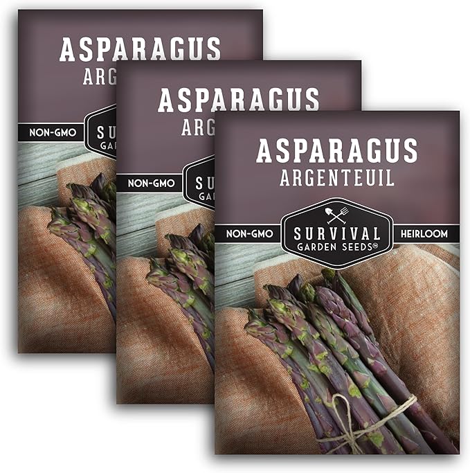 3 Packs Argenteuil Purple Asparagus Seeds for Planting with Instructions to Grow Gourmet French Asparagus in Your Home Vegetable Garden - Non-GMO Heirloom - Survival Garden Seeds