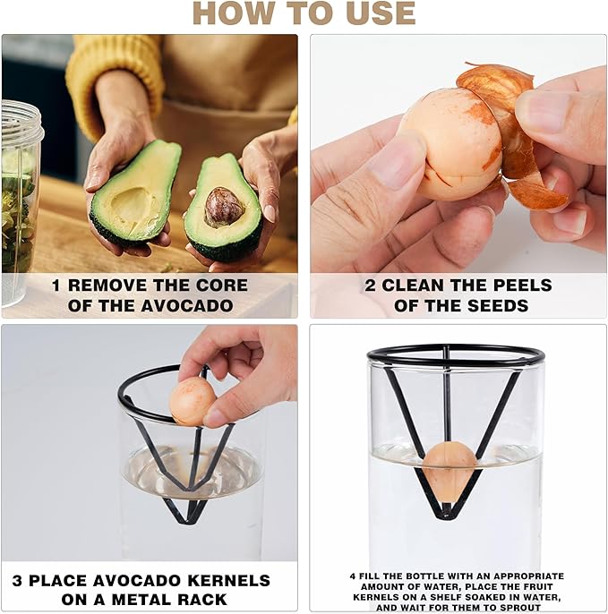 Bylion Avocado Tree Growing Kits, Avocado Growing Vase Wooden Base Avocado Seed Starter Vase Glass Plant Pot Easy Seed Sprout Starter Gift for Women Gardening Lovers Home Office Table Decoration