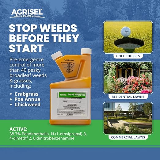 Pendi Hydrocap Weed Killer, Pre-Emergent Formula, Effective on 40+ Broadleaf Weeds and Grasses, No-Stain, Mixes Easily, Pet Safe, Includes 3-Pack of Agrisel Protective Gloves, 32 Ounces