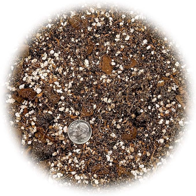 Bromeliad Planting Mix - Promote Robust Root Development and Lush Foliage - 4 QUARTS