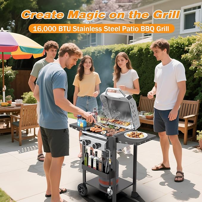 2 Burner Gas Grills Propane, 16,000 BTU Stainless Steel Compact Gas Barbecue Grill with Foldable Shelves, Small Propane Grills Outdoor Cooking for Patios Backyard Camping, 255 SQ.IN Cook Area
