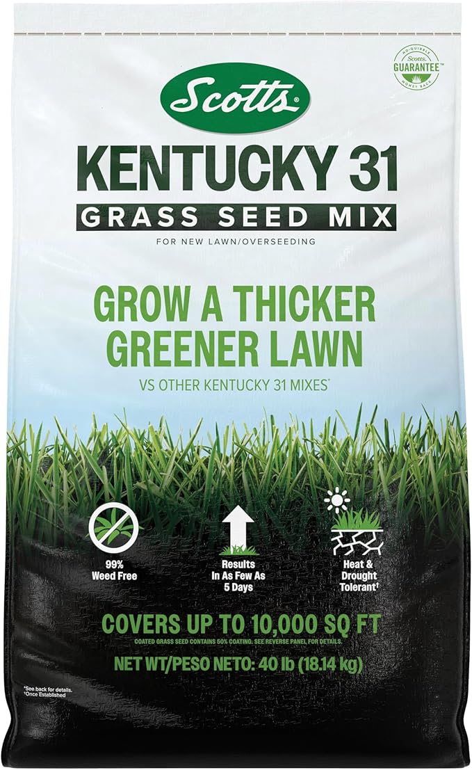 Scotts® Kentucky 31 Grass Seed Mix, for New Lawns or Overseeding, Results in as Few as 5 Days, 40 lbs.